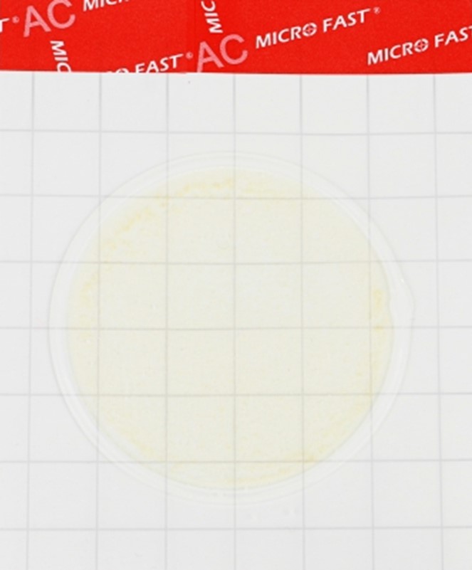 Substrate for determining QMAFAnM (catalog number LR1001)