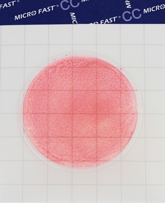 Coliform Count Plate (catalog number LR1002) MicroFast® Coliform Count Plate