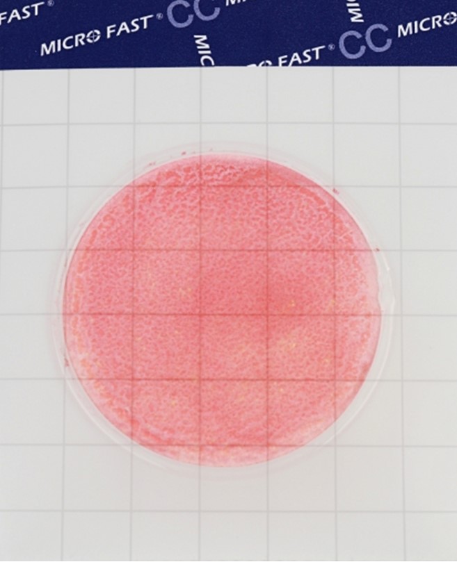 Подложка для определения количества колиформных бактерий (каталожный номер LR1002) MicroFast® Coliform Count Plate