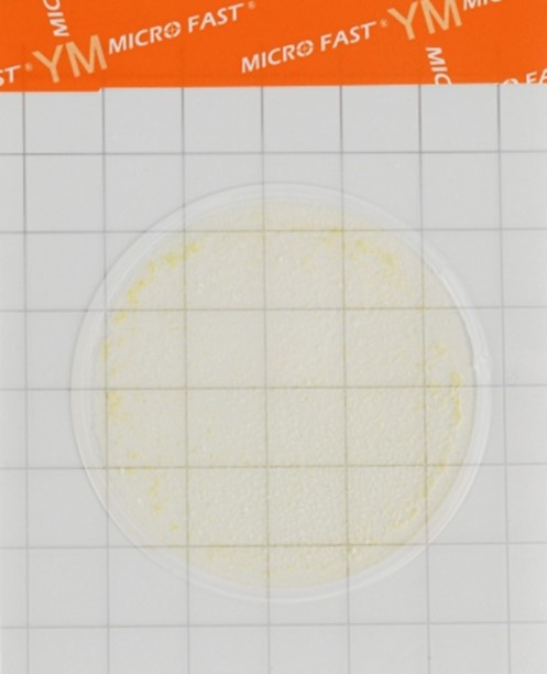 Yeast & Mold Count Plate (cat. no. LR1003) MicroFast® Yeast & Mold Count Plate