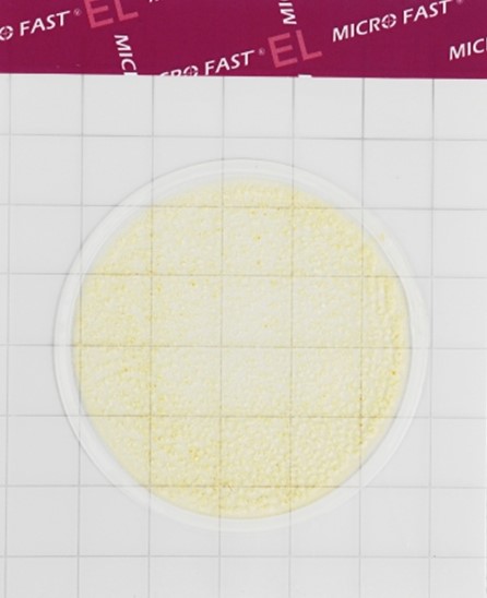 MicroFast® Environmental Listeria Count Plate Подложка для определения количества листерий в образцах окружения (каталожный номер LR1008)