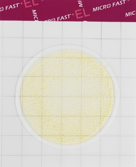 MicroFast® Environmental Listeria Count Plate