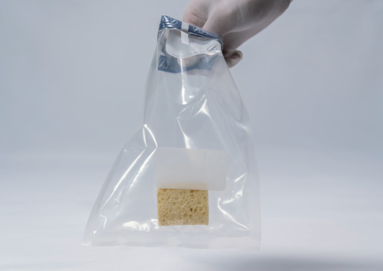 Губка для взятия смыва с держателем