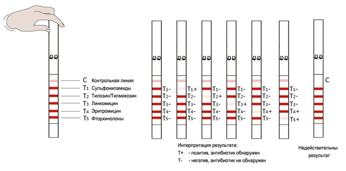 Tests for antibiotics in milk 5 in 1
