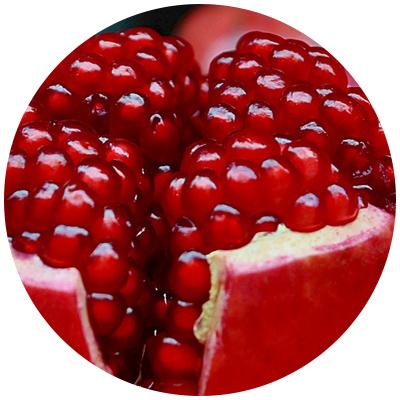 pomegranate.jpg pomegranate.jpg