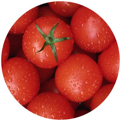 tomato.jpg tomato.jpg