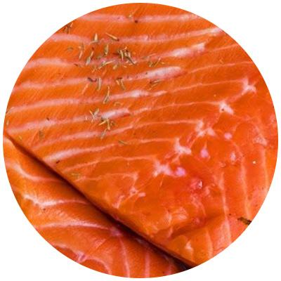 жирная рыба fish.jpg