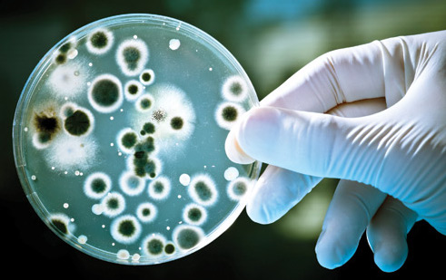 Belarus implements a project to destroy obsolete pesticides