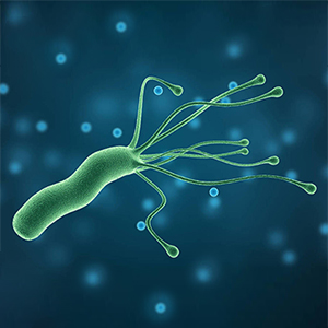 First case of PRRS reported in Nepal