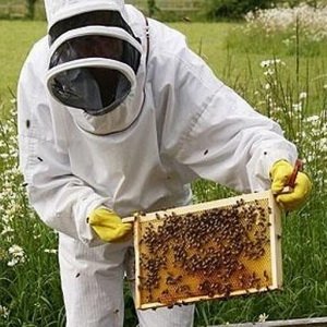 The sixth generation of beekeepers Zaripovs. Family Museum. Household items and antique beekeeping equipment