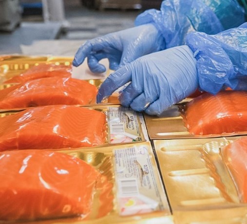 Подмосковная рыбная ферма готовится к реализации первой партии форели