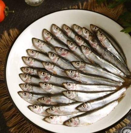 Antibiotics in sprat: facts and myths