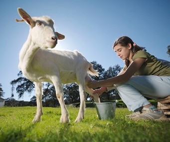 Более 15 тыс. человек за полгода обратились к медикам из-за присасывания клещей