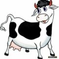 ООО ПионерПродукт - Молочные Предприятия - Ферма «Платоша»