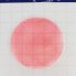 Coliform Count Plate (catalog number LR1002) MicroFast® Coliform Count Plate