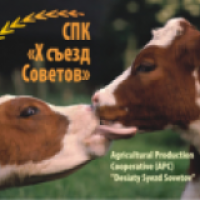 Информация ООО ПионерПродукт - <br />
<b>Warning</b>:  Undefined variable $info in <b>/var/www/h94127/data/www/pionerprodukt.by/modules/usd.pioner/process/company-info.php</b> on line <b>36</b><br />
<br />
<b>Warning</b>:  Trying to access array offset on null in <b>/var/www/h94127/data/www/pionerprodukt.by/modules/usd.pioner/process/company-info.php</b> on line <b>36</b><br />
<br />
<b>Deprecated</b>:  htmlspecialchars(): Passing null to parameter #1 ($string) of type string is deprecated in <b>/var/www/h94127/data/www/pionerprodukt.by/modules/usd.pioner/process/company-info.php</b> on line <b>36</b><br />
