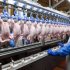 Цены на колбасные изделия поднимутся на 5-10% к Новому году