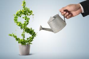 The Belarusian market turned out to be more attractive for Russian business than the Bahamas